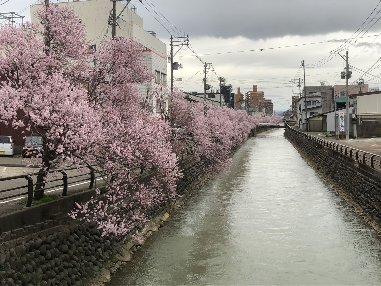 ここ から 近く の 小児科